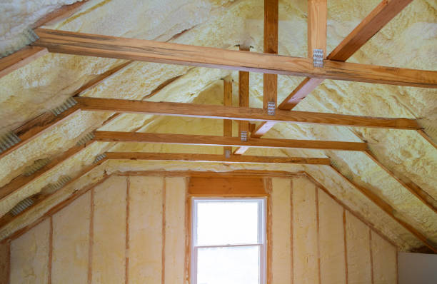 Best Fiberglass Insulation  in Fraser, CO