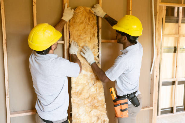 Best Insulation for New Construction  in Fraser, CO